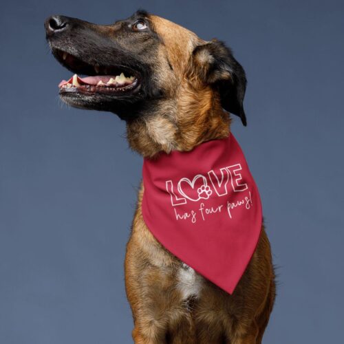 Dog Bandanas