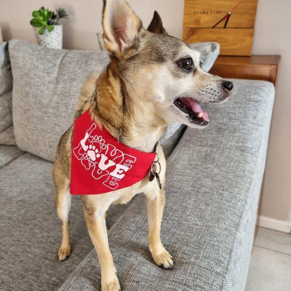 Love Dog Bandana