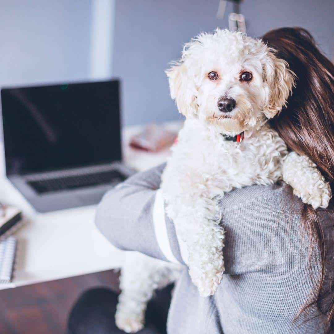 Working Dog Mom Mother's Day Gifts