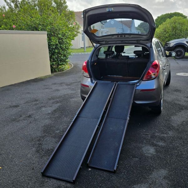 XL Folding Dog Ramp