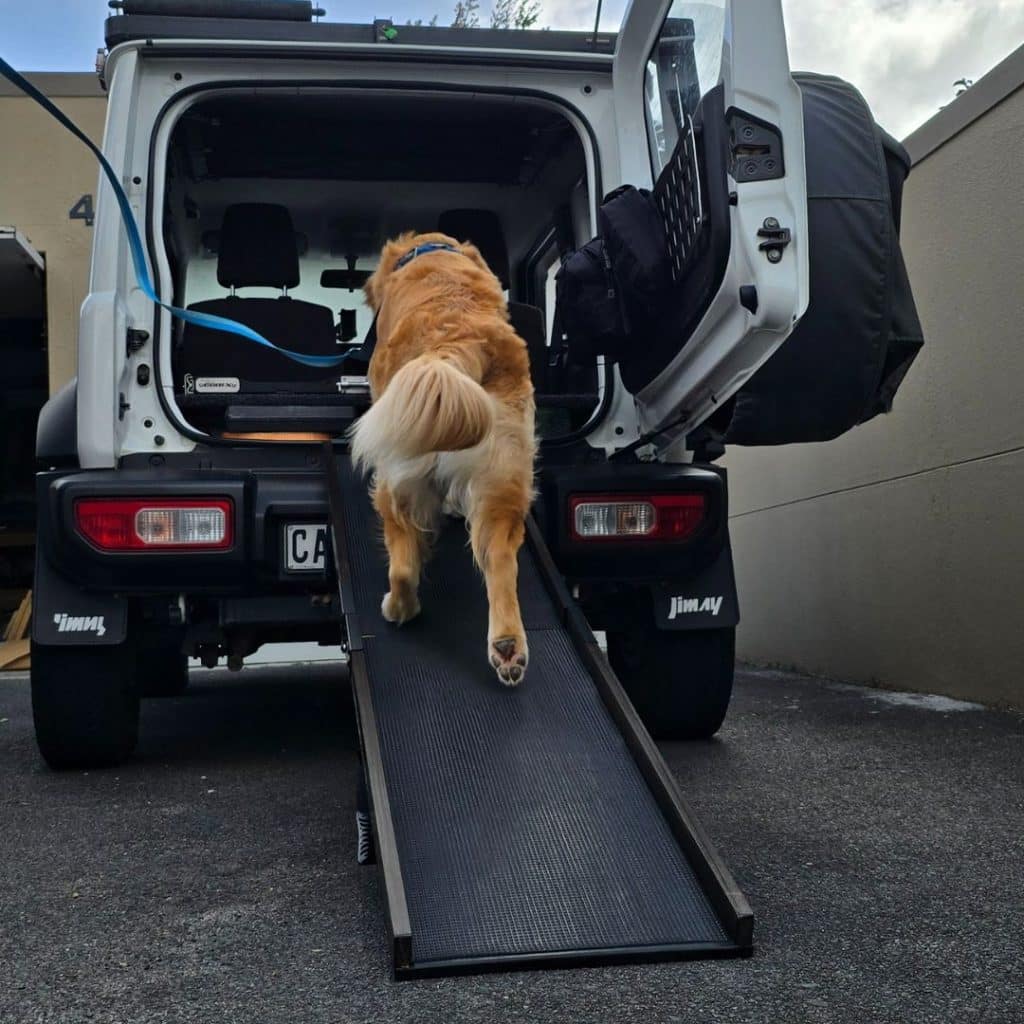 Dog Ramps South Africa - XL Folding Dog Ramp