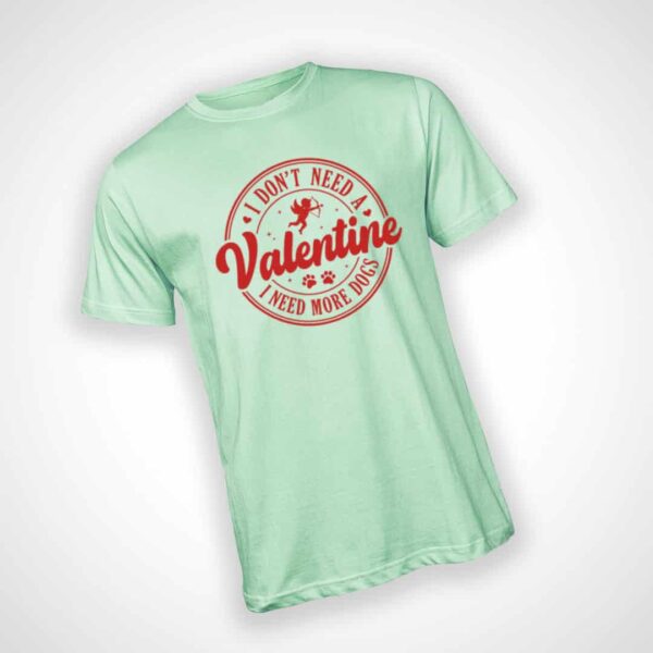 Dont need a Valentine T-shirt - Mint Green