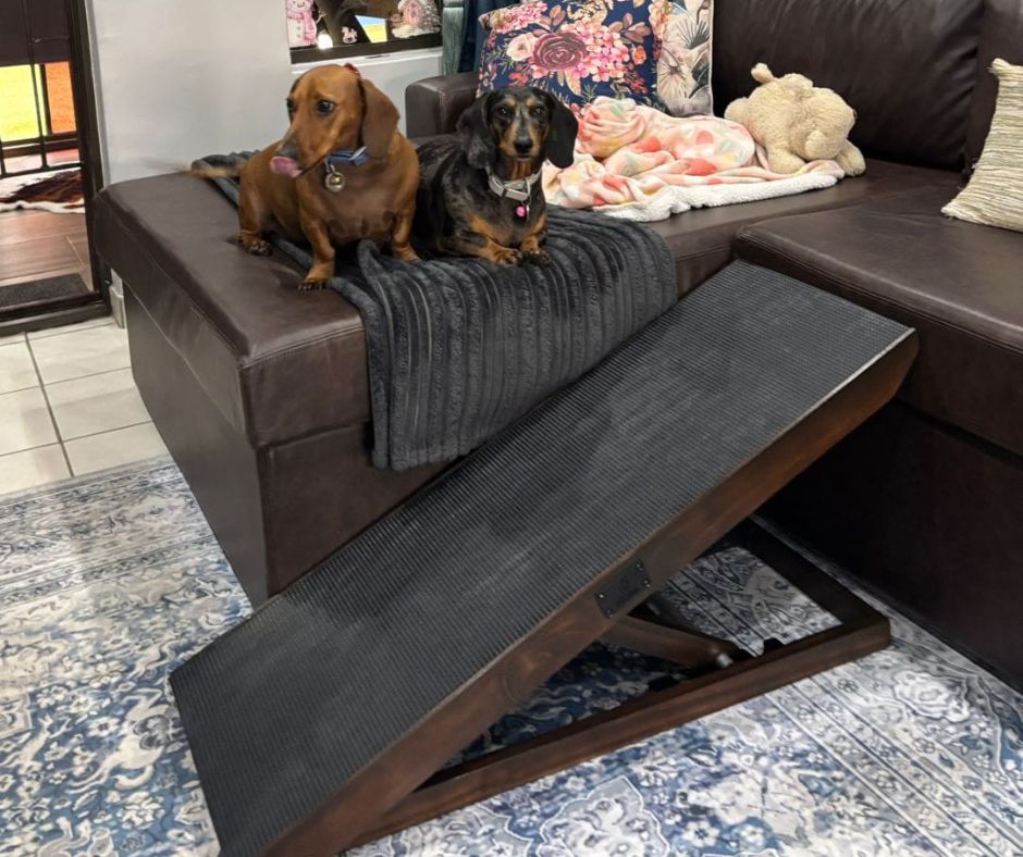 This Dog Mom ramp helps Brutus & Bella with cuddle time with the pawrents and prevents jumping.