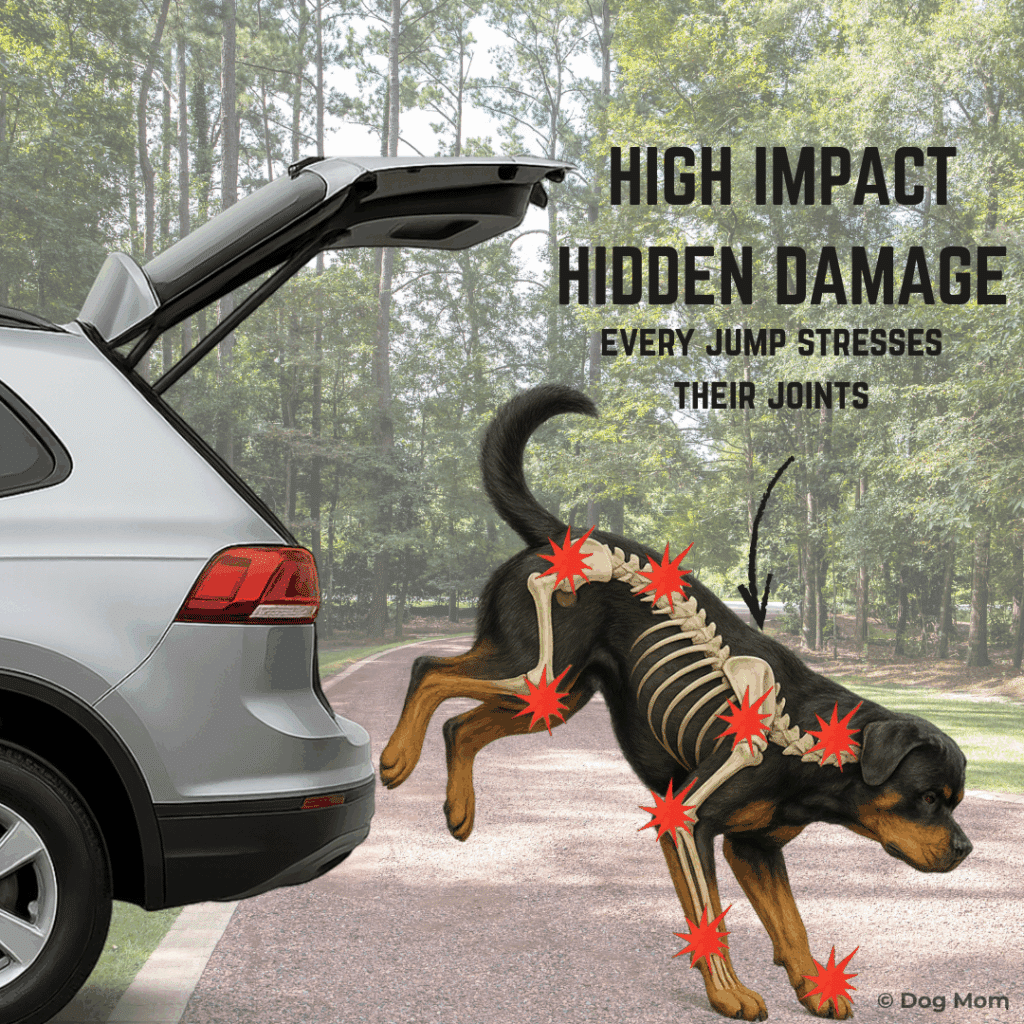 Image showing Concussive Forces from Dog Jumping Down