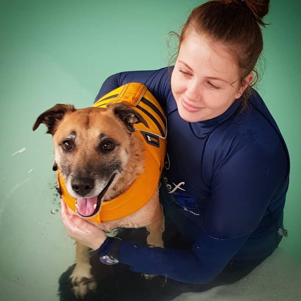 Swimming can be very helpful for dogs recovering from CCL Surgery or Ruptures