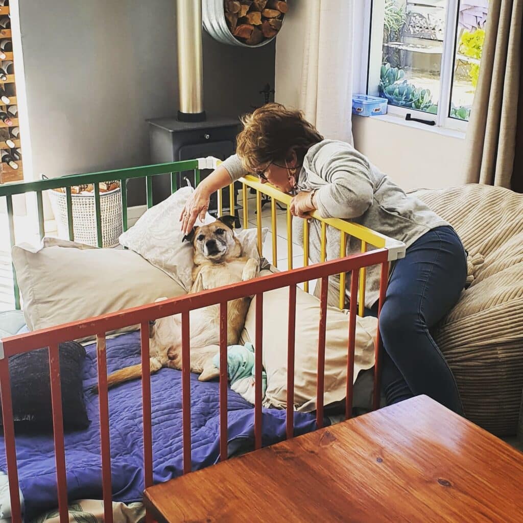 Using a Playpen to confine a dog post CCL Surgery